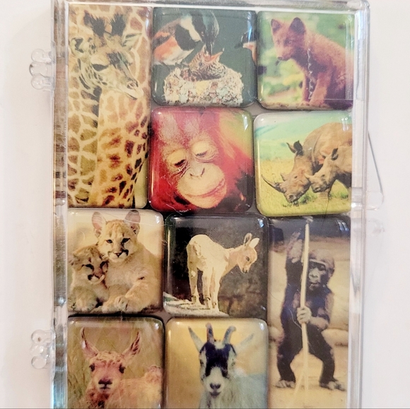 NWOT 10 Animals Mighty Magnets - Picture 8 of 10